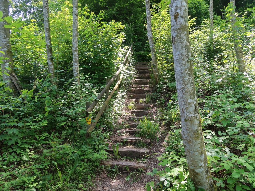 Treppe