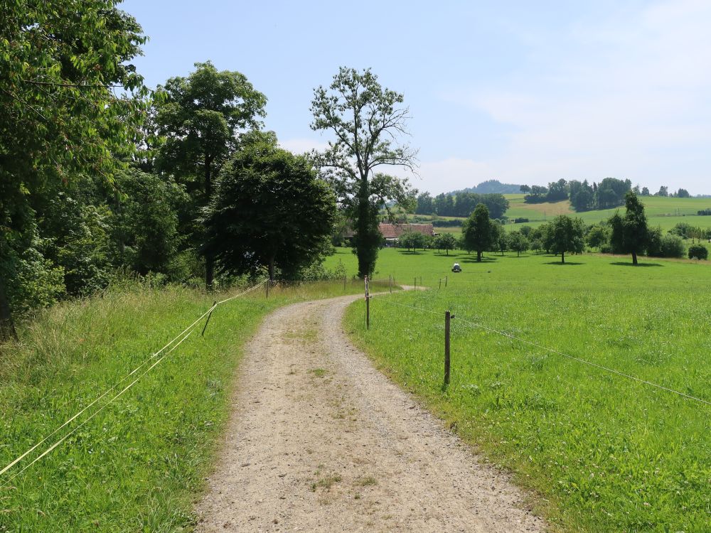 Rosenweg