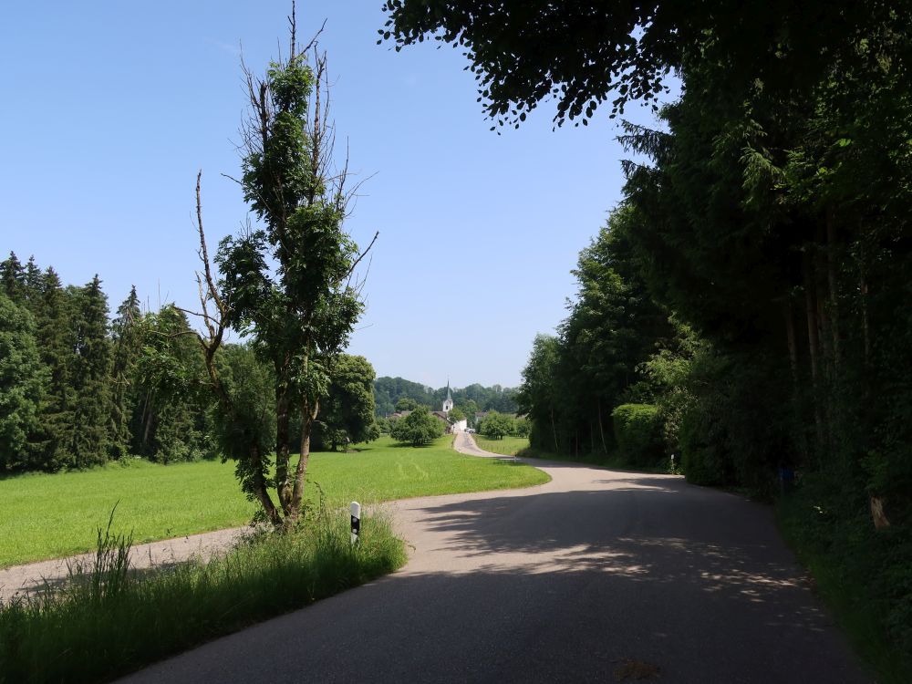 Niederglattstrasse