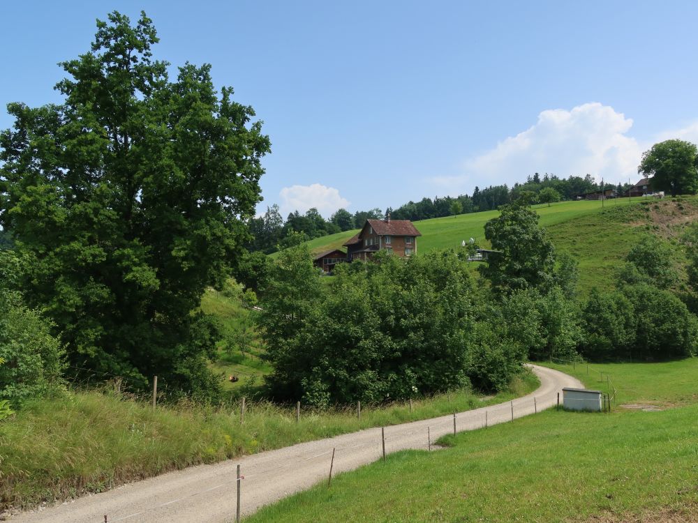 Strässchen bei Niederglatt