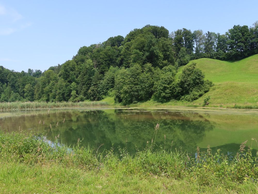 Glattmüliweiher