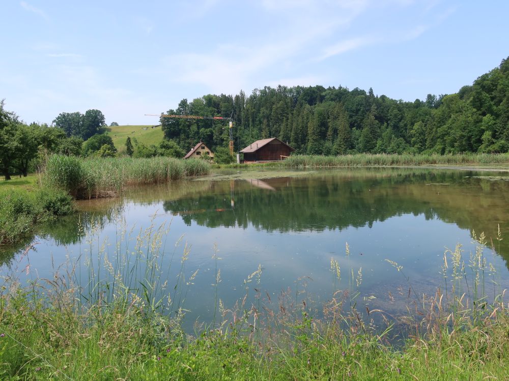 Glattmüliweiher