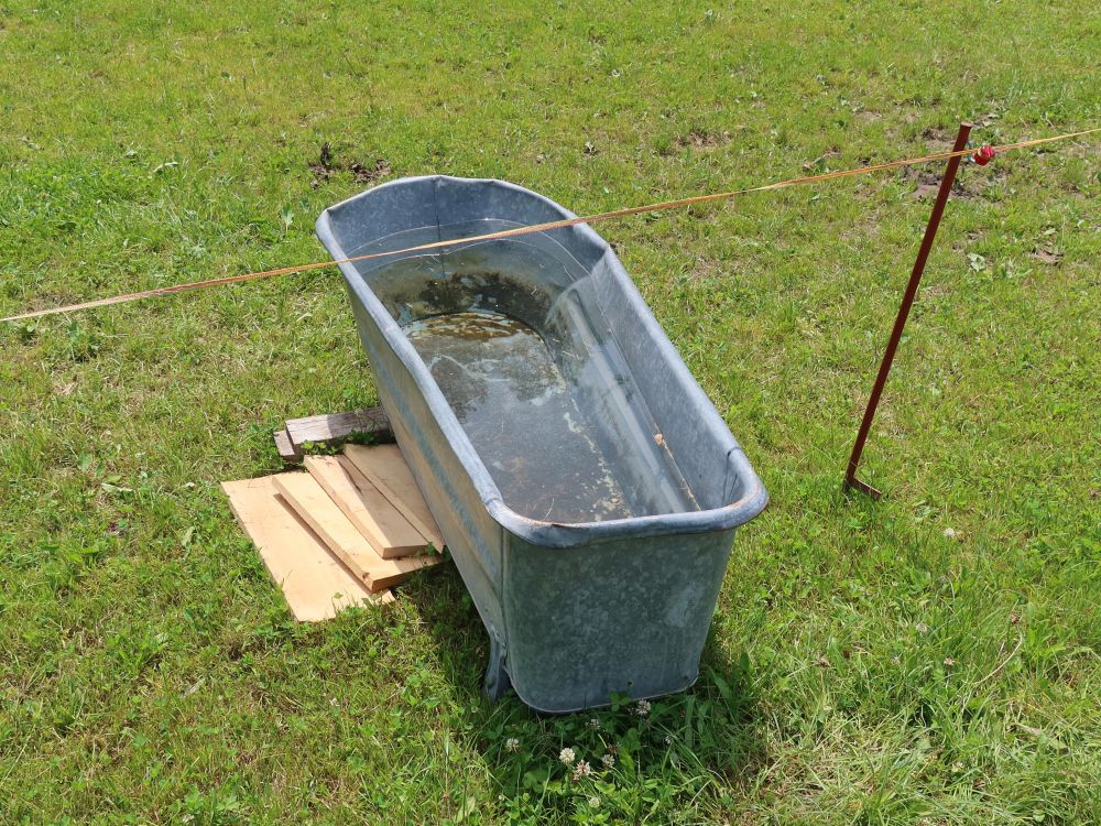 alte Badewanne