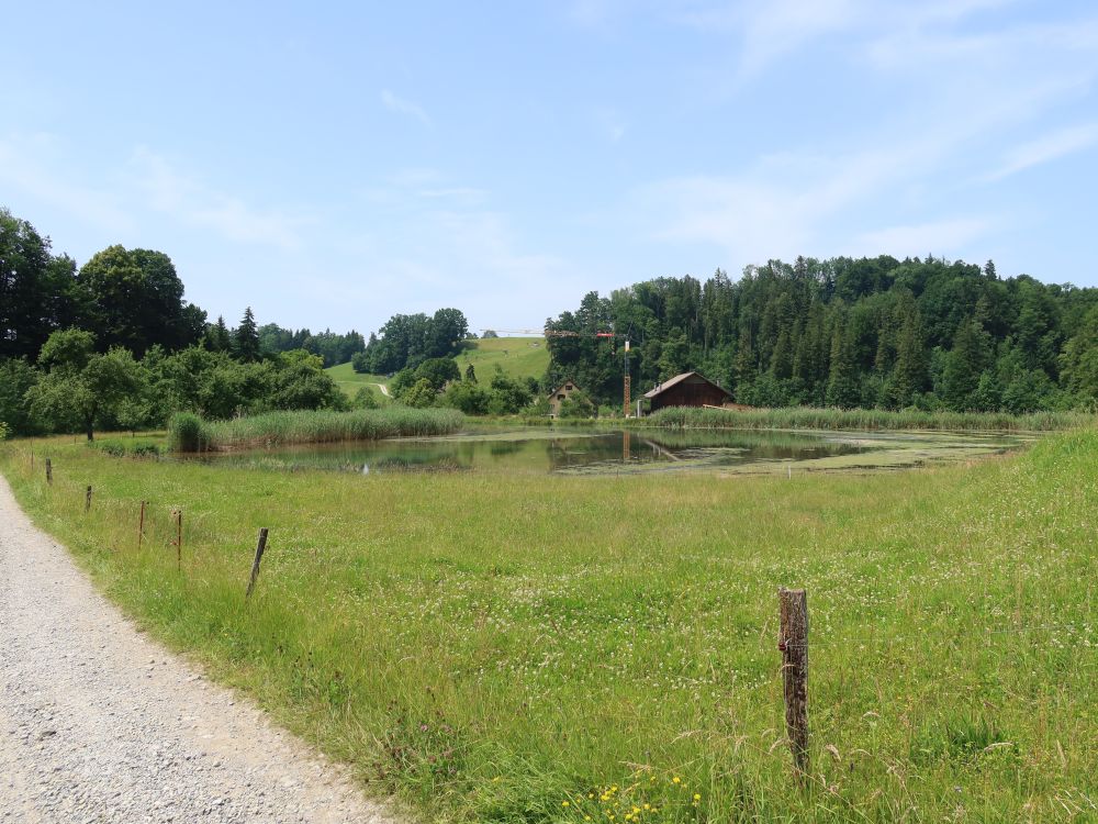 Glattmüliweiher