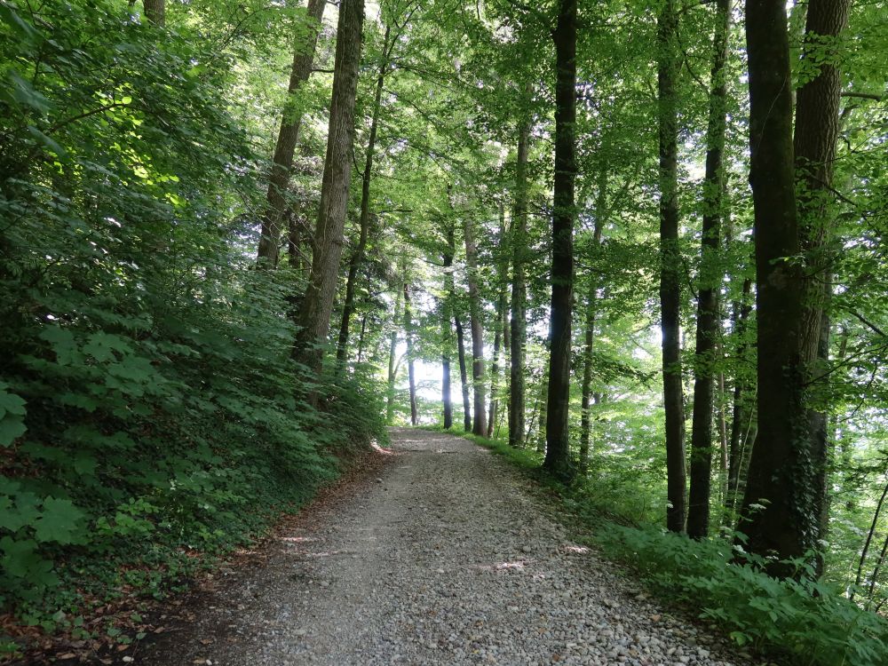 Glattburgweg