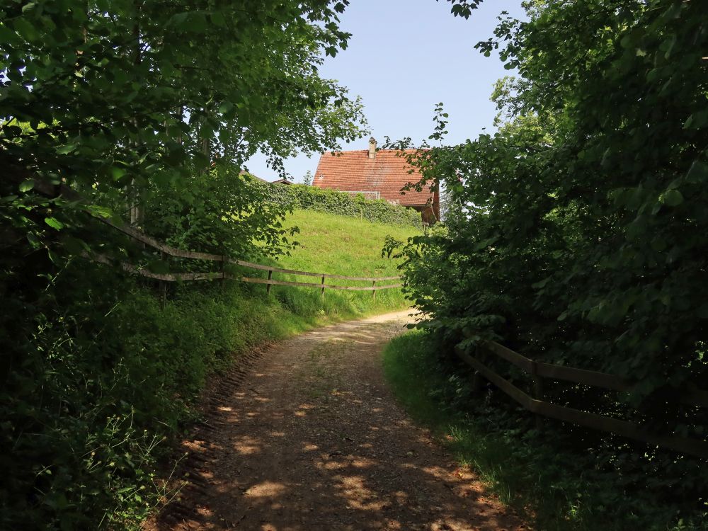 Glattburgweg