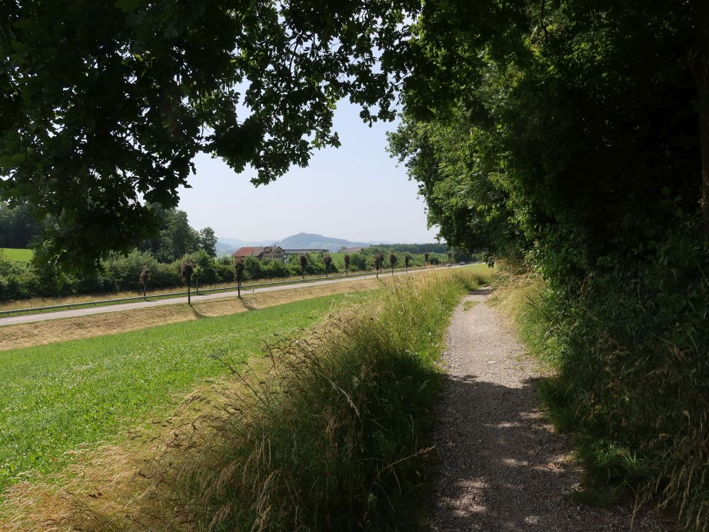 Weg am Iselberg