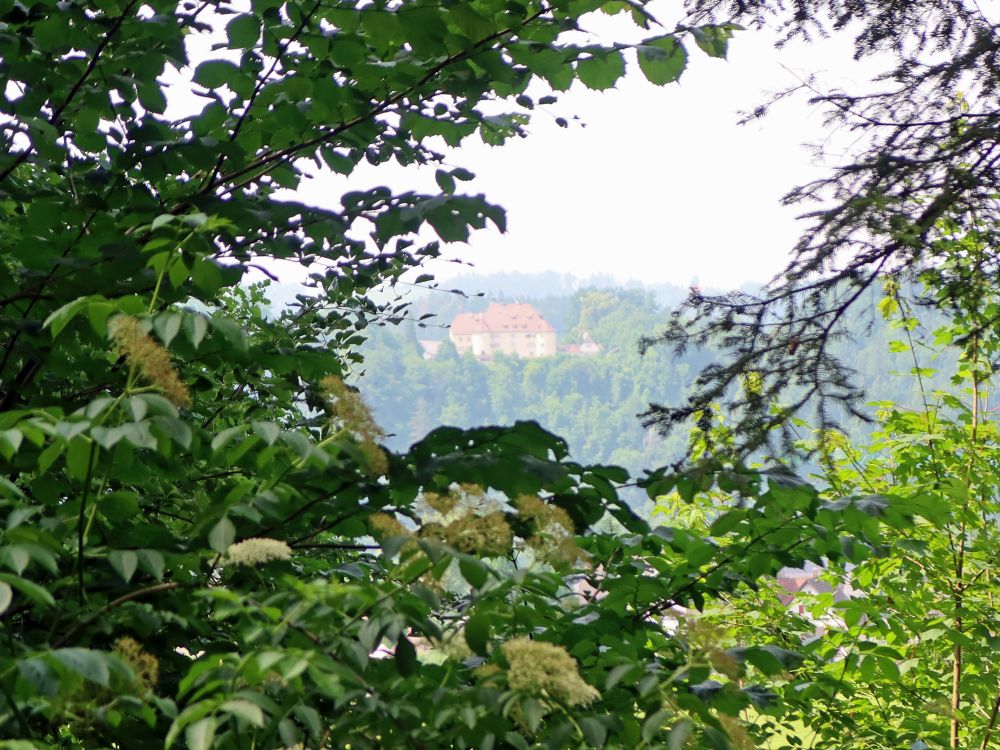 Kloster St. Gallenberg in Dunst