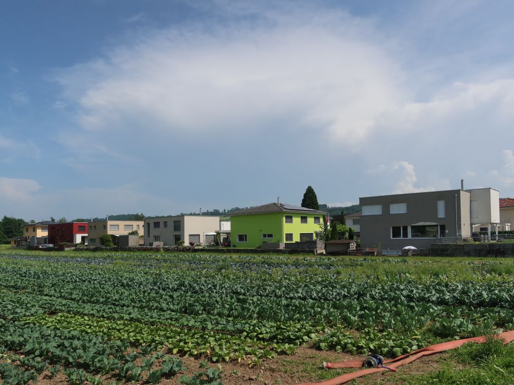 Ortsrand Oberbüren