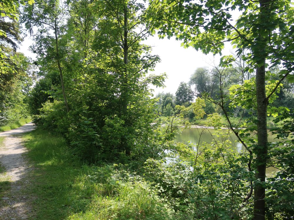 Pfad am Thurufer