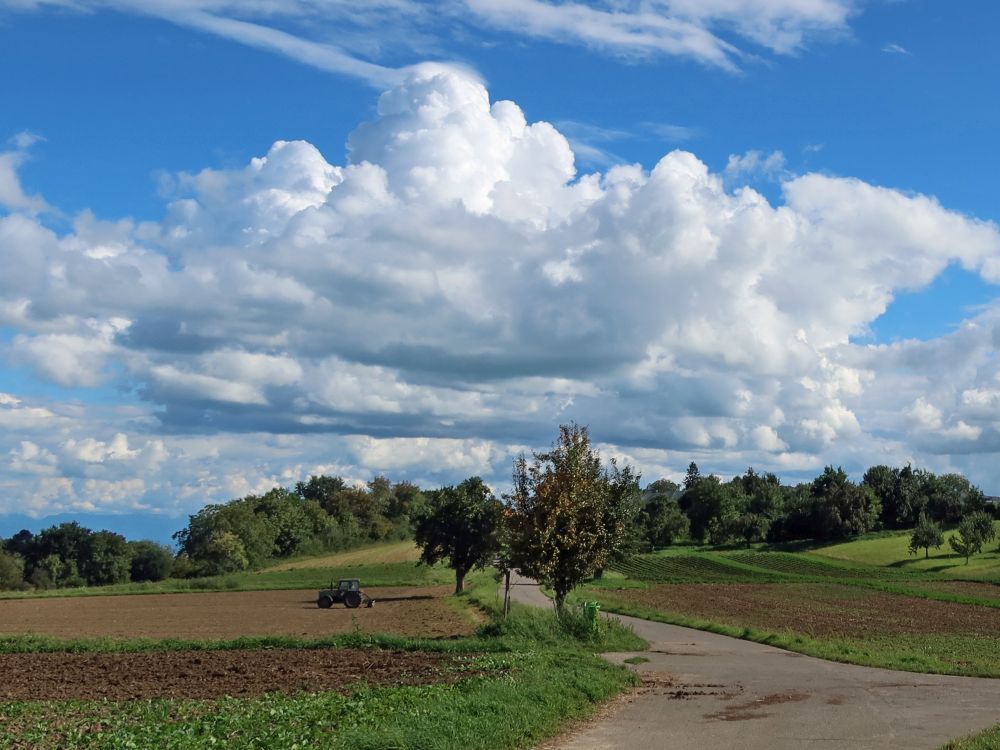 Höhenrückenweg