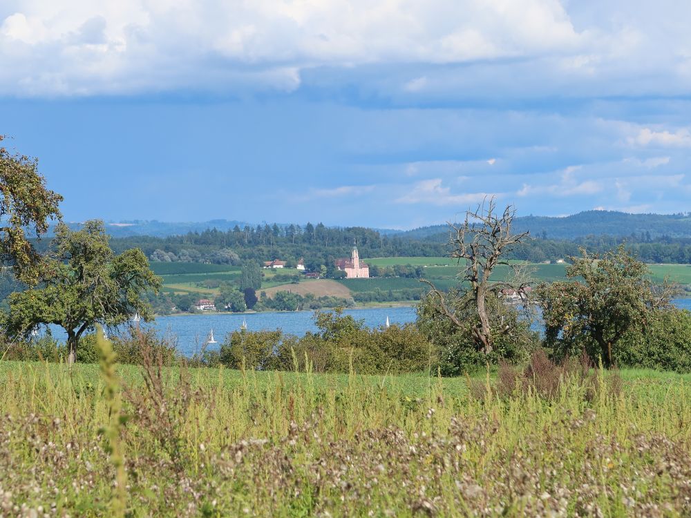 Blick Richtung Birnau