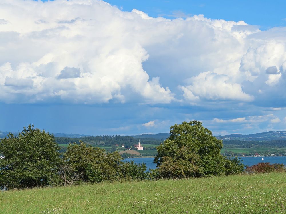 Blick Richtung Birnau