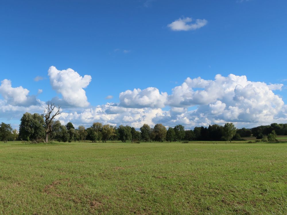 zwischen Dingelsdorf und Wallhausen
