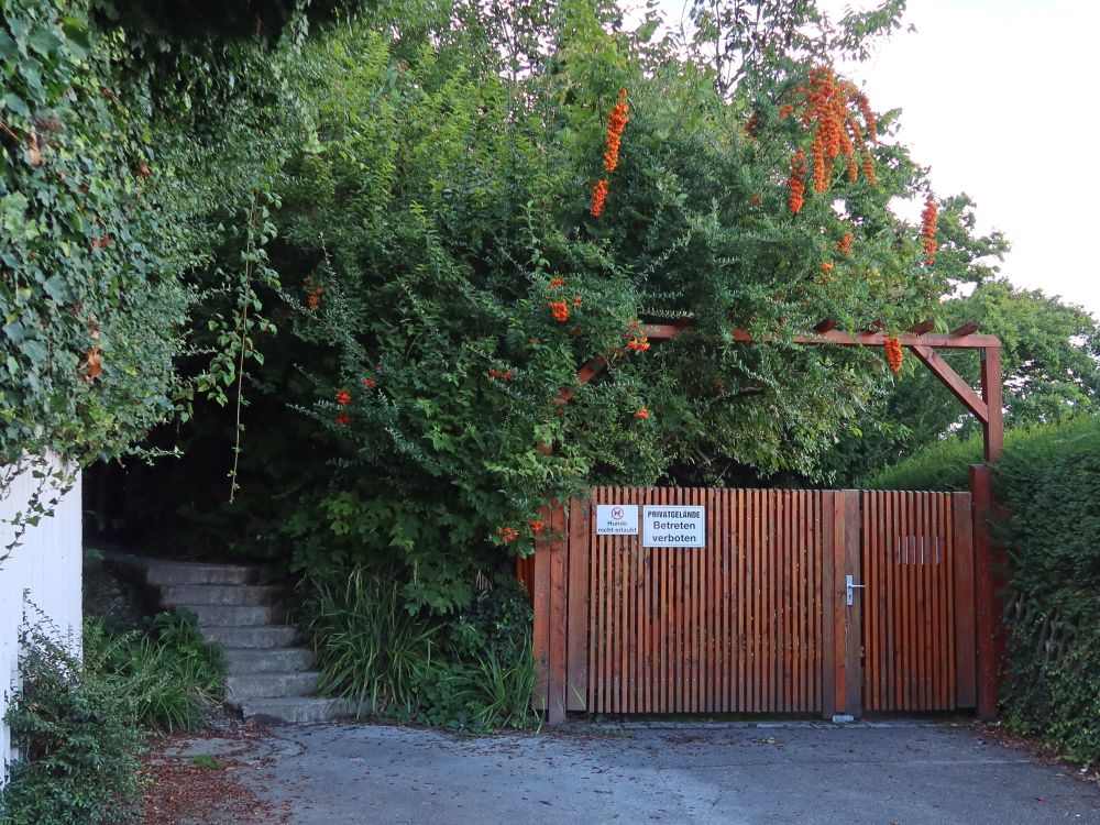 Treppe zum Uferpfad