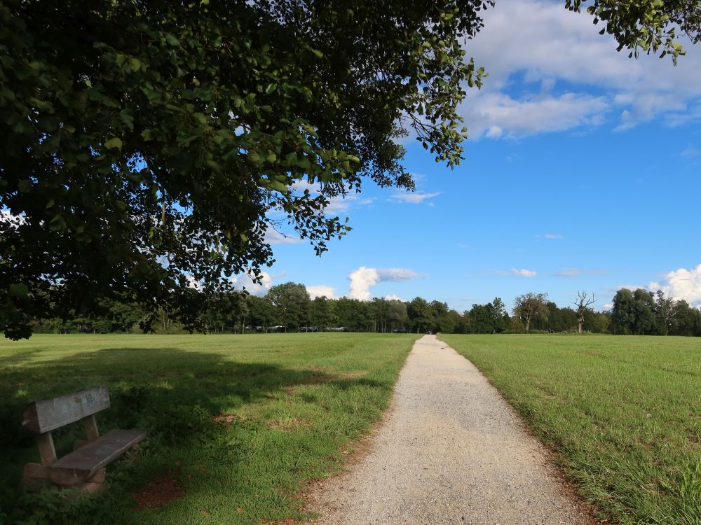 Fuss- und Radweg bei Wallhausen