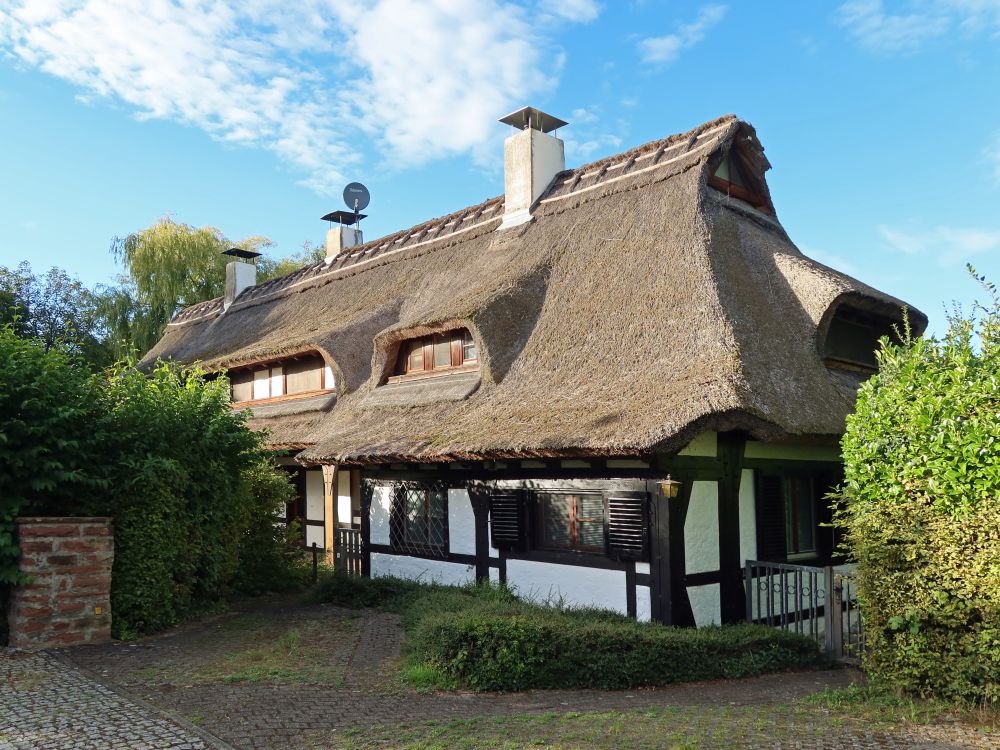 Rebdachhaus