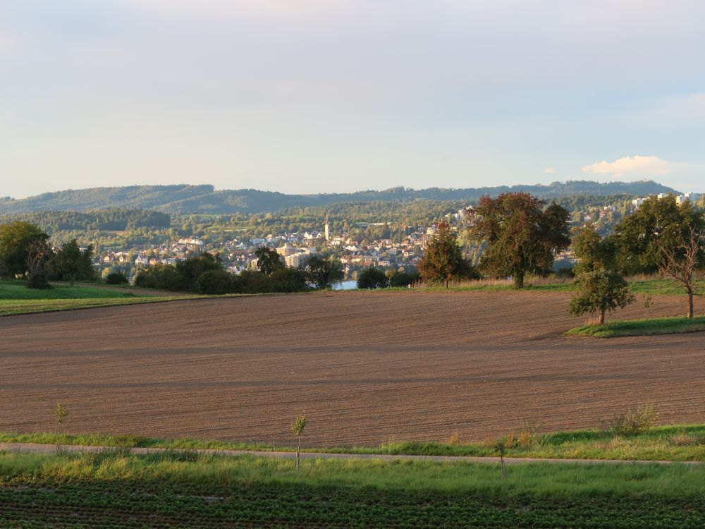 Blick Richtung Überlingen