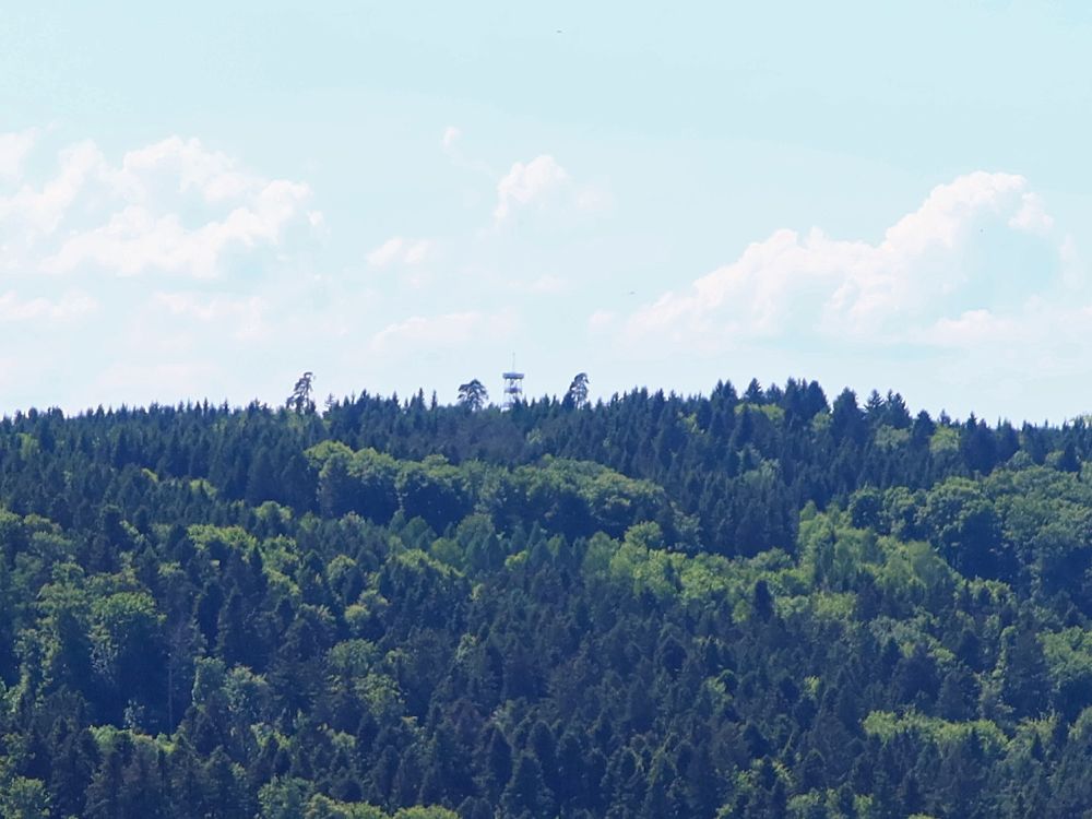 Eschenbergturm über den Bäumen