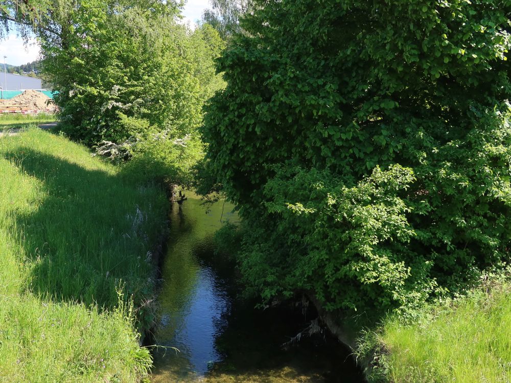 Eulach