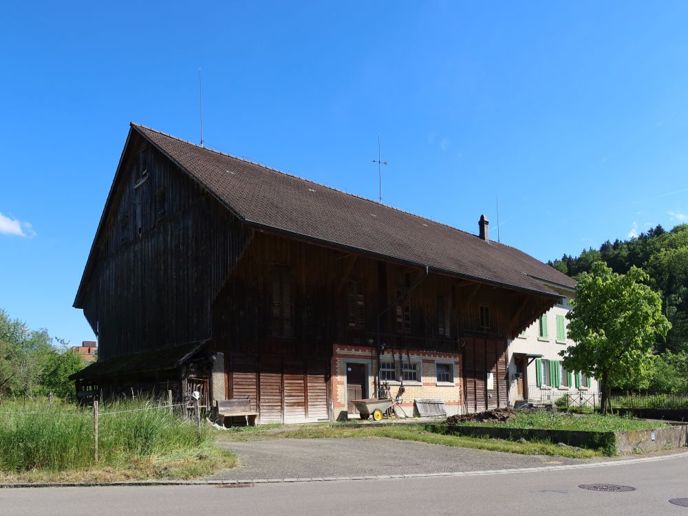 Bauernhof in Rümikon