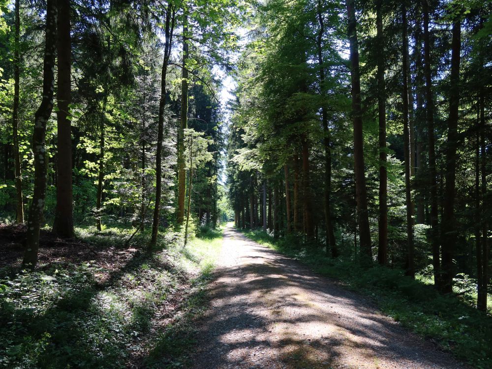 Arbergstrasse