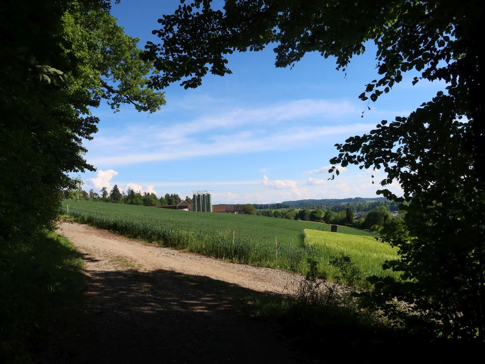 Blick auf Floren