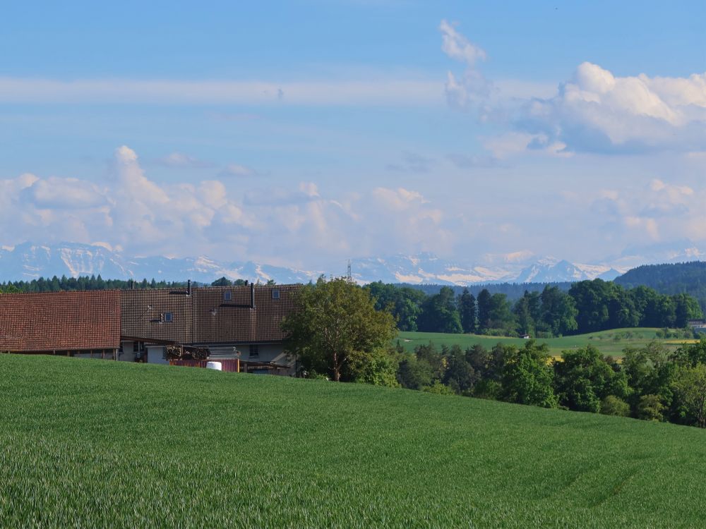 Alpensicht