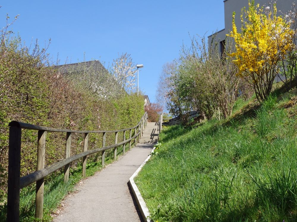 Fussweg Hofacker-Sonnenbühlstrasse
