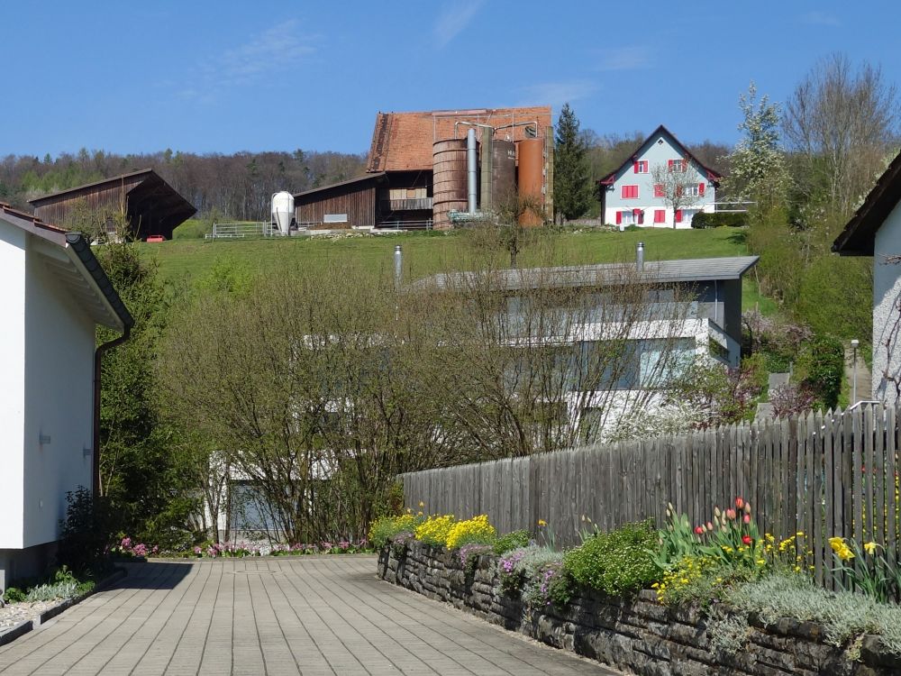 Blick auf Schlipfebärg