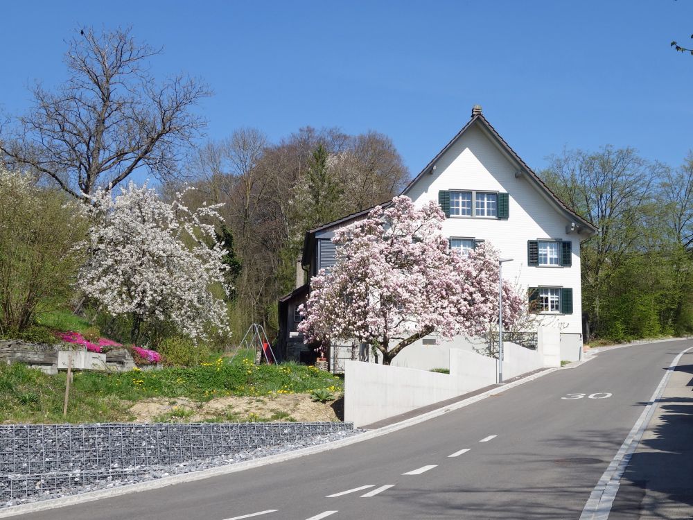 Haus in Untere Bühlstrasse