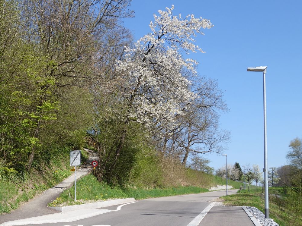 Abzweig Wanderweg von Untere Bühlstrasse