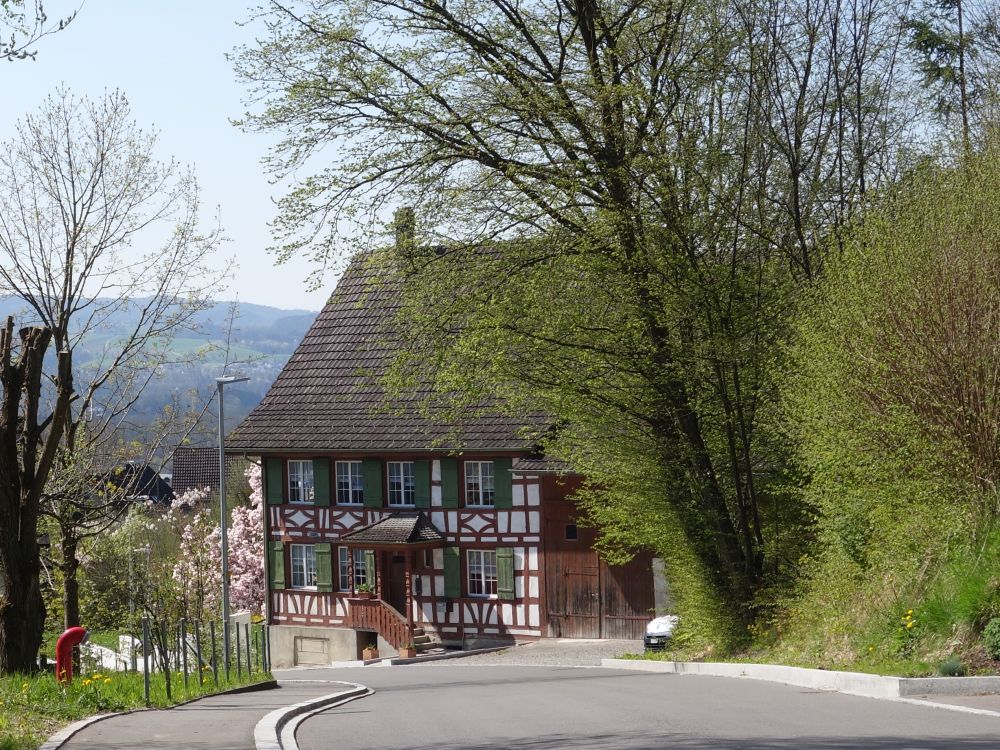 Haus in Untere Bühlstrasse