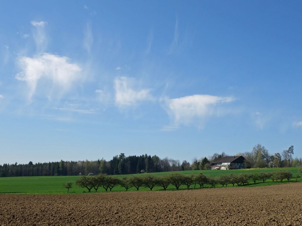 Wolkenfetzen