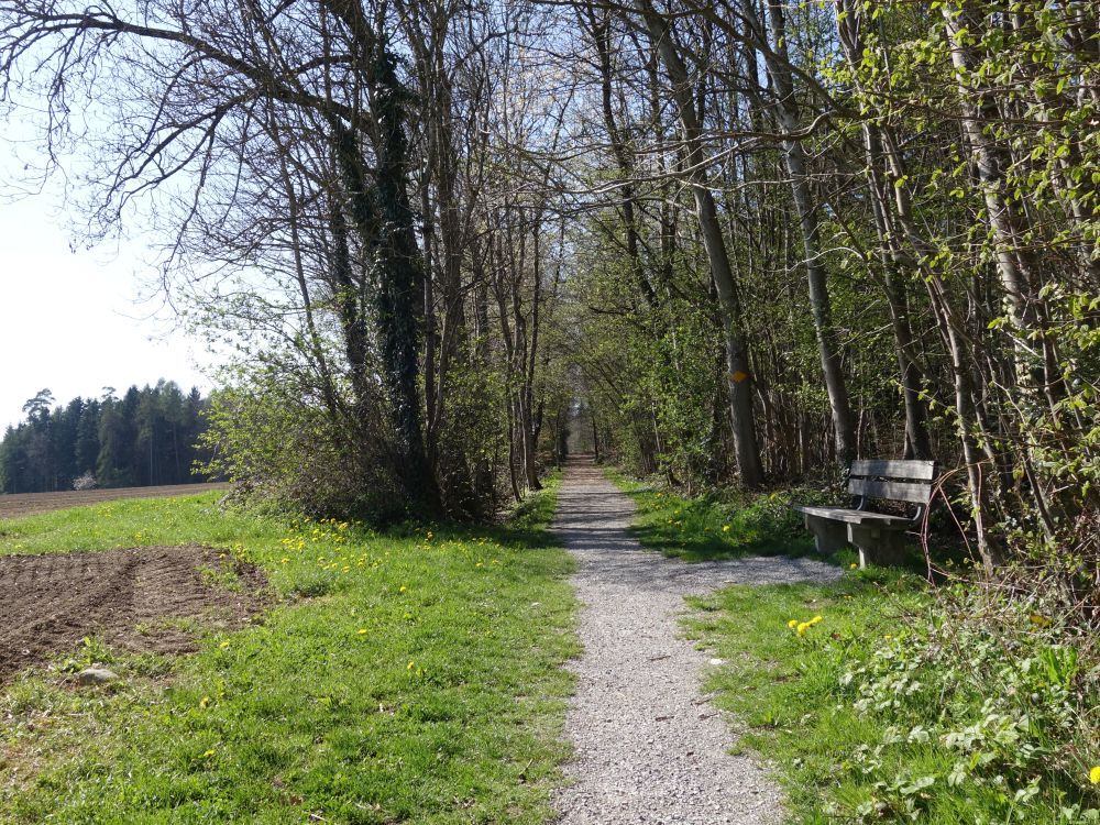 Wanderweg auf dem Ottebrg