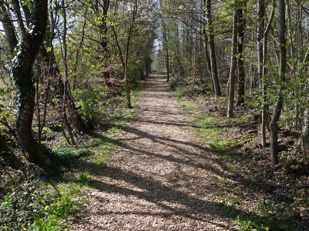 Wanderweg auf dem Ottebärg