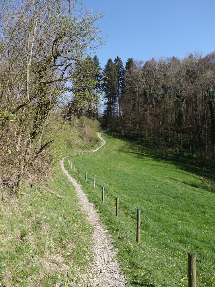 Wanderweg am Thurbrg