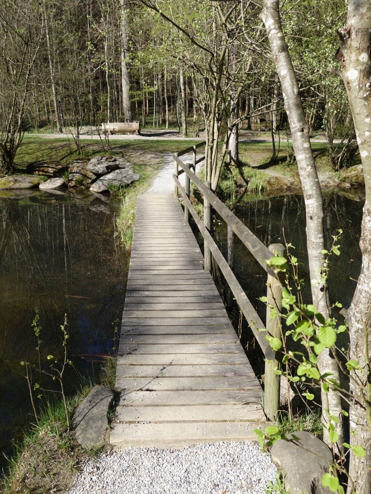 Holzsteg über den Teich