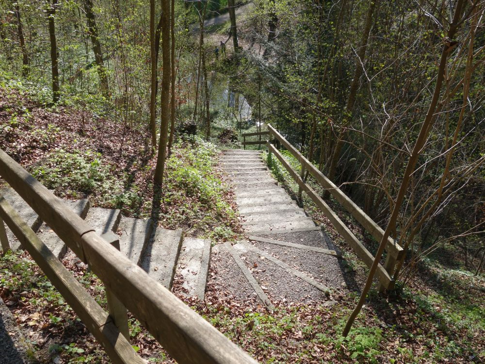 Treppe am Schloss Weinfelden