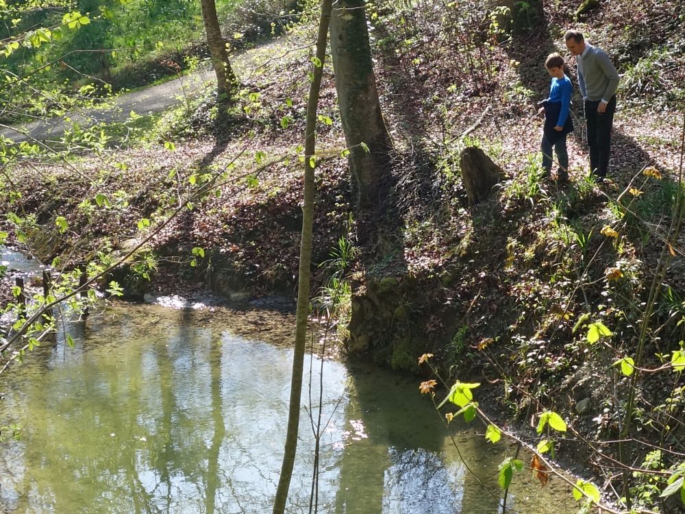 Teich unterm Schloss