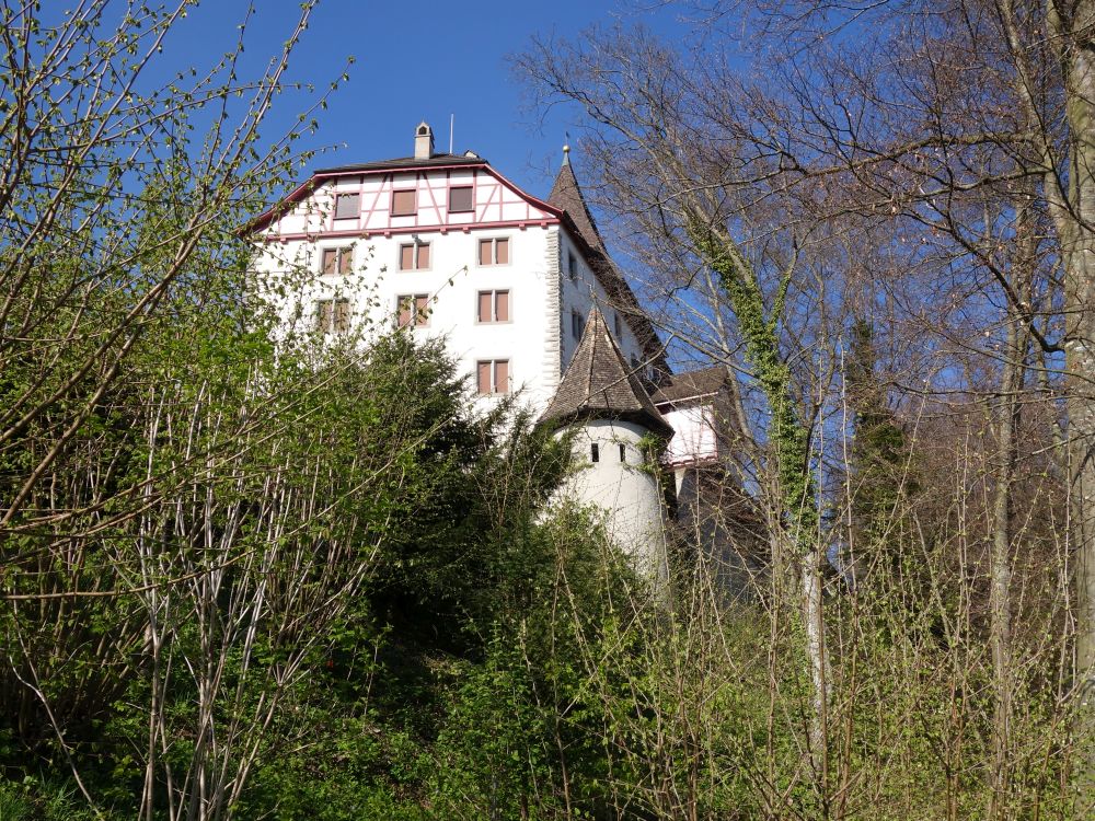 Schloss Weinfelden