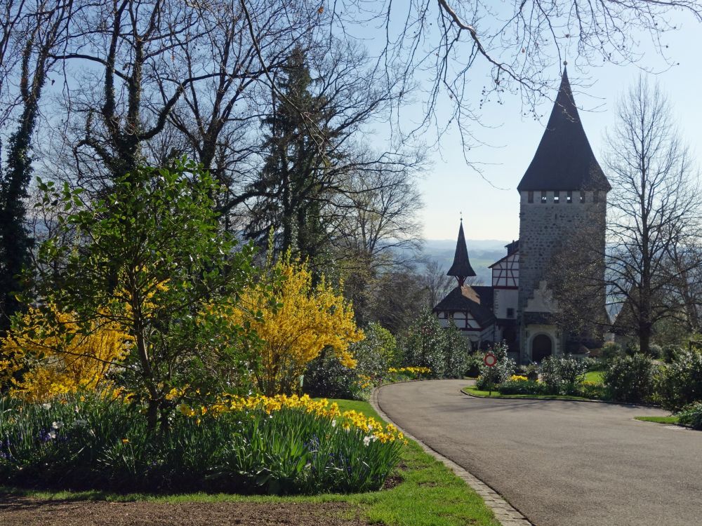 Schloss Weinfelden