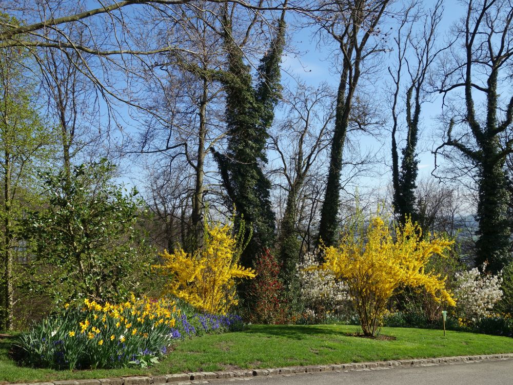 Park am Schloss Weinfelden