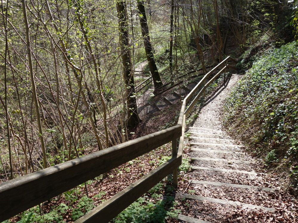 Treppe am Schloss Weinfelden