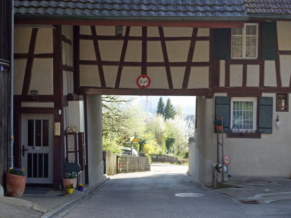 Bauernhof mit Unterführung (Schlossgasse)