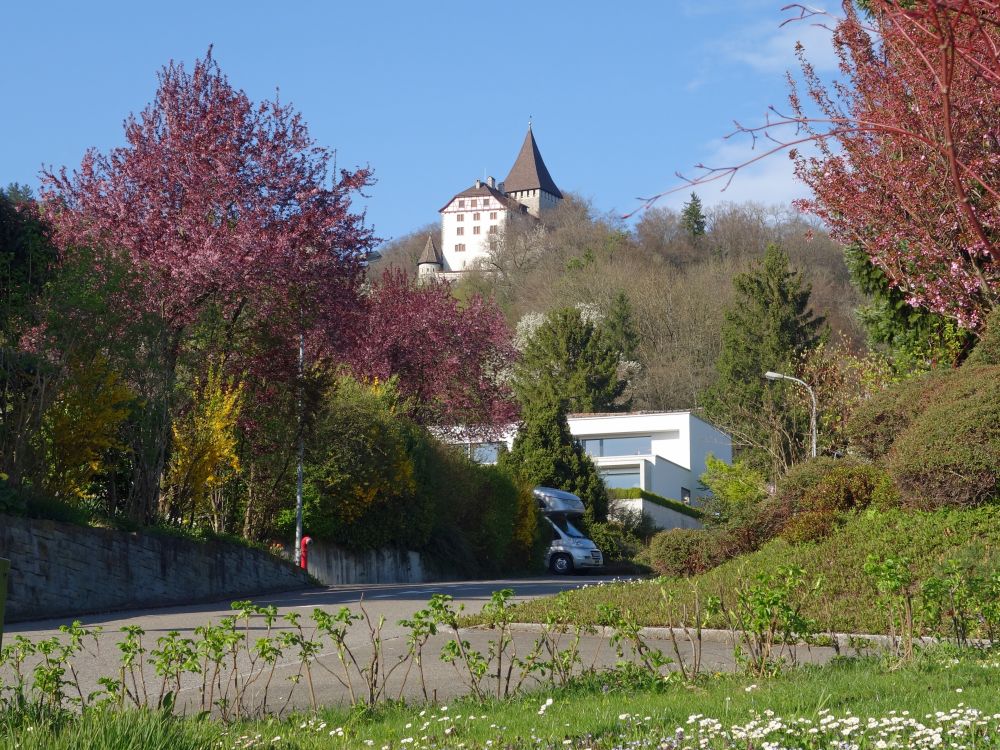 Schloss Weinfelden