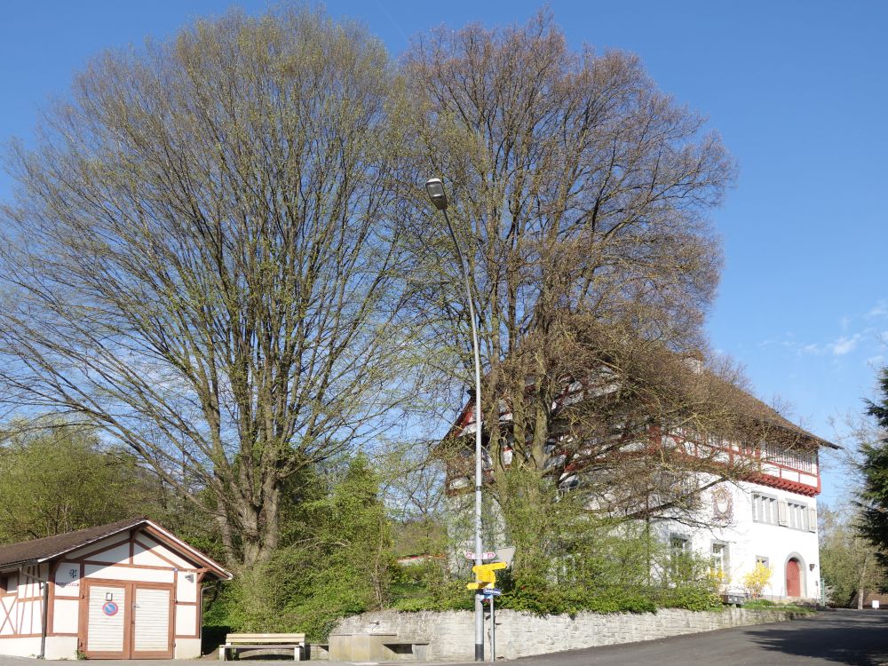 Primarschulzentrum Schwärze