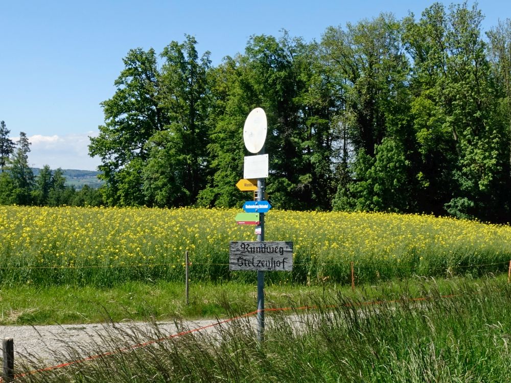 Wanderwegweiser bei Vetterswis