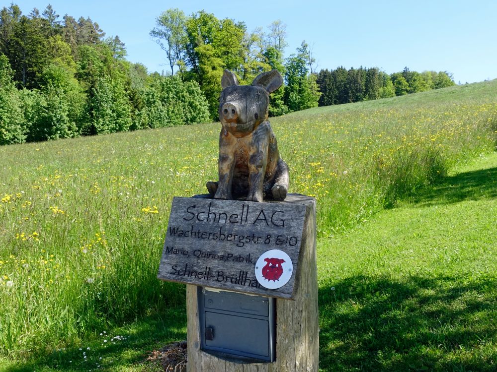 Holzschwein auf dem Briefkasten