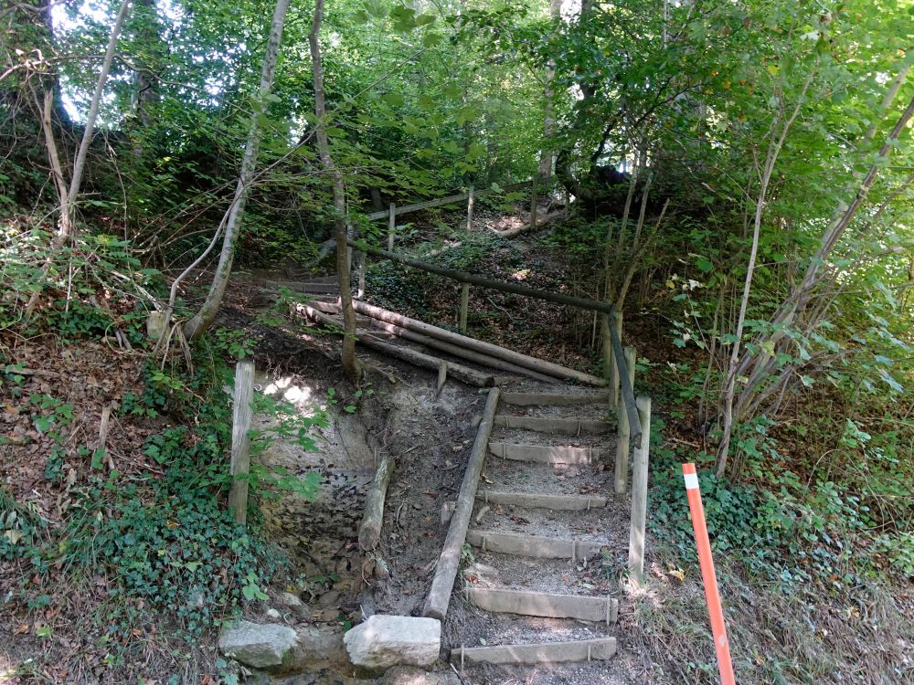 Treppe am Löölitobel